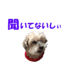 ハッピークッキー！（個別スタンプ：34）