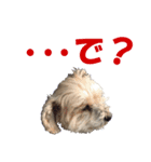 ハッピークッキー！（個別スタンプ：38）