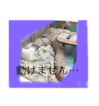 プライベートだからね！（個別スタンプ：2）