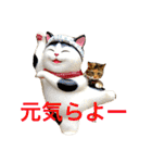 毎日みかんスタンプ（個別スタンプ：3）