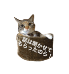 毎日みかんスタンプ（個別スタンプ：6）