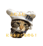 毎日みかんスタンプ（個別スタンプ：21）