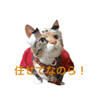 毎日みかんスタンプ（個別スタンプ：30）