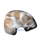 うらら（個別スタンプ：4）
