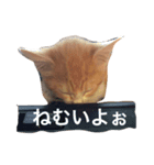 はじめましてきなこです（個別スタンプ：2）