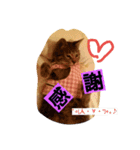 あい 1（個別スタンプ：1）