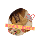 あい 1（個別スタンプ：2）