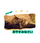 あい 1（個別スタンプ：3）