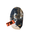 あい 1（個別スタンプ：5）