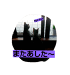 あい 1（個別スタンプ：7）