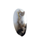 ふくふく⑤（個別スタンプ：4）