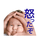 うちの子達❤2 ～3ヶ月（個別スタンプ：2）