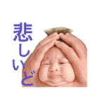 うちの子達❤2 ～3ヶ月（個別スタンプ：3）