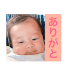 うちの子達❤2 ～3ヶ月（個別スタンプ：21）