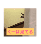 うちの子達❤2 ～3ヶ月（個別スタンプ：30）