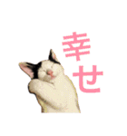 うちの子達❤2 ～3ヶ月（個別スタンプ：31）