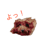 トイプーやねん！（個別スタンプ：3）