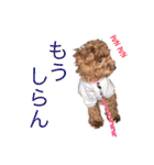 トイプーやねん！（個別スタンプ：17）