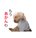 トイプーやねん！（個別スタンプ：21）