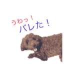 トイプーやねん！（個別スタンプ：27）