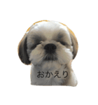 レンくんのスタンプ（個別スタンプ：1）