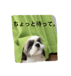 レンくんのスタンプ（個別スタンプ：2）