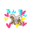 マルプー Api happy スタンプ（個別スタンプ：19）