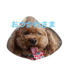 我が家の可愛いペットたち（個別スタンプ：2）
