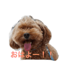 我が家の可愛いペットたち（個別スタンプ：9）
