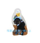 黒ぷーの「ぷっく」すたんぷ（個別スタンプ：1）