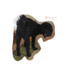 黒ぷーの「ぷっく」すたんぷ（個別スタンプ：6）