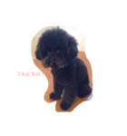 黒ぷーの「ぷっく」すたんぷ（個別スタンプ：8）