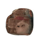 パールだよ（個別スタンプ：6）