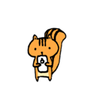 little squirrel-1（個別スタンプ：2）