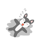Silly Raccoon（個別スタンプ：30）