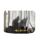 猫の日常1（個別スタンプ：7）