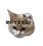 オビとけのび（個別スタンプ：15）
