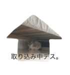 オビとけのび（個別スタンプ：18）