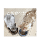 オビとけのび（個別スタンプ：22）