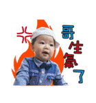 The daily language of Zhebao（個別スタンプ：1）