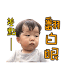 The daily language of Zhebao（個別スタンプ：21）