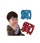 The daily language of Zhebao（個別スタンプ：29）