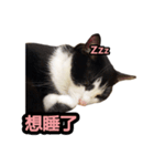 siao miao（個別スタンプ：11）