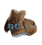 デブ猫（個別スタンプ：3）