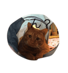 デブ猫（個別スタンプ：4）