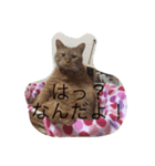 デブ猫（個別スタンプ：8）