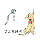 The Life of Tammy and Max（個別スタンプ：11）
