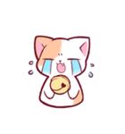 Pugi cat（個別スタンプ：4）