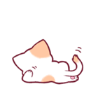 Pugi cat（個別スタンプ：17）