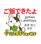 セクシーなウサギ日本語タイ語（個別スタンプ：5）